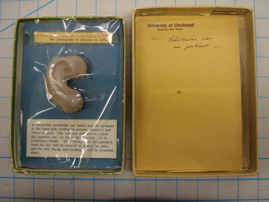 The ear and its original housing materials.  The photograph and clipping were stored in the yellow envelope.